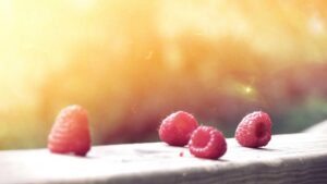 Mautstrafen vermeiden: 10 wichtige Tipps für stressfreies Reisen